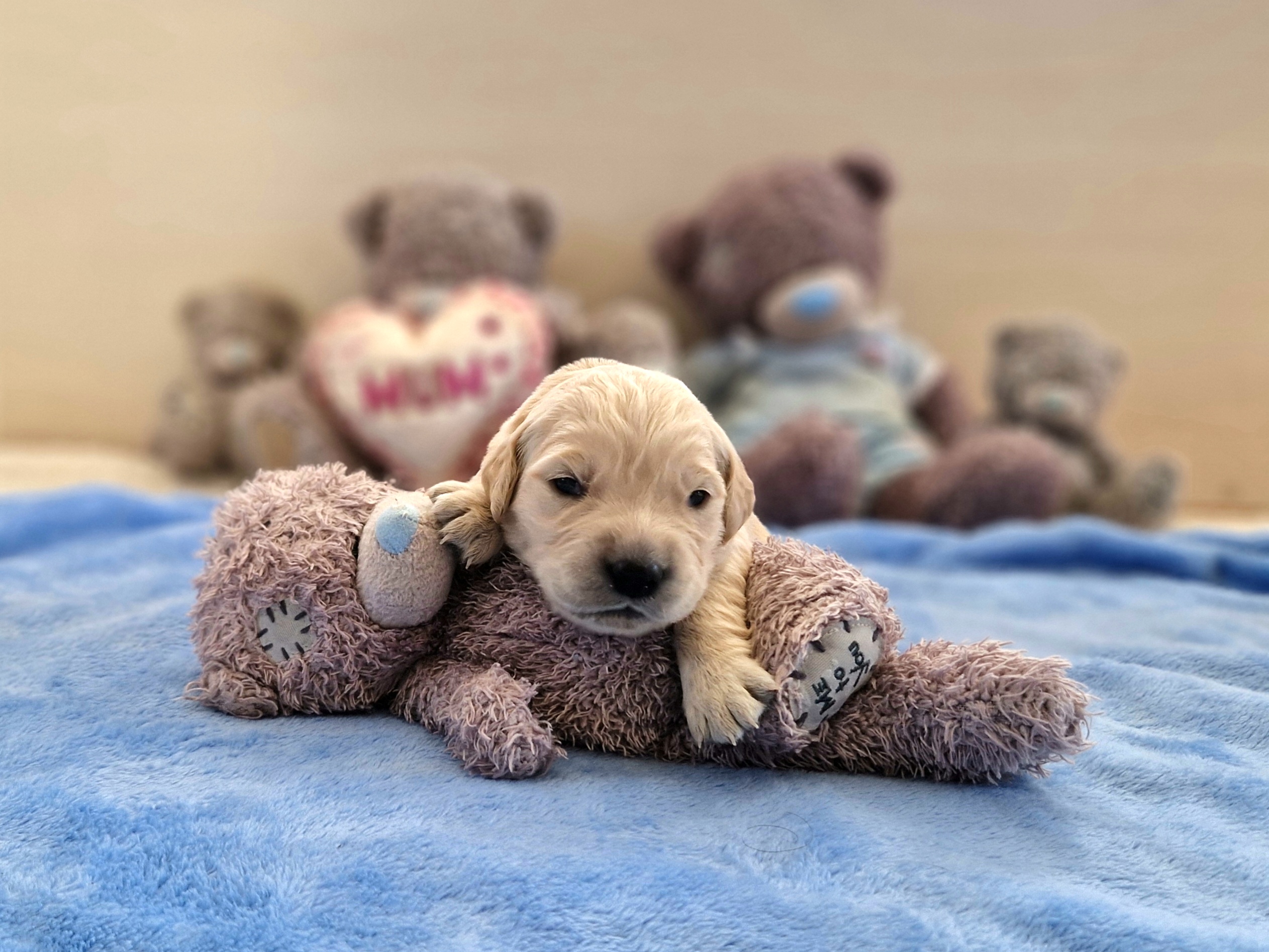 07%20b%C3%ADl%C3%BD%20